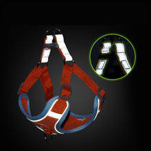 Load image into Gallery viewer, No-Pull Adjustable Dog Harness
